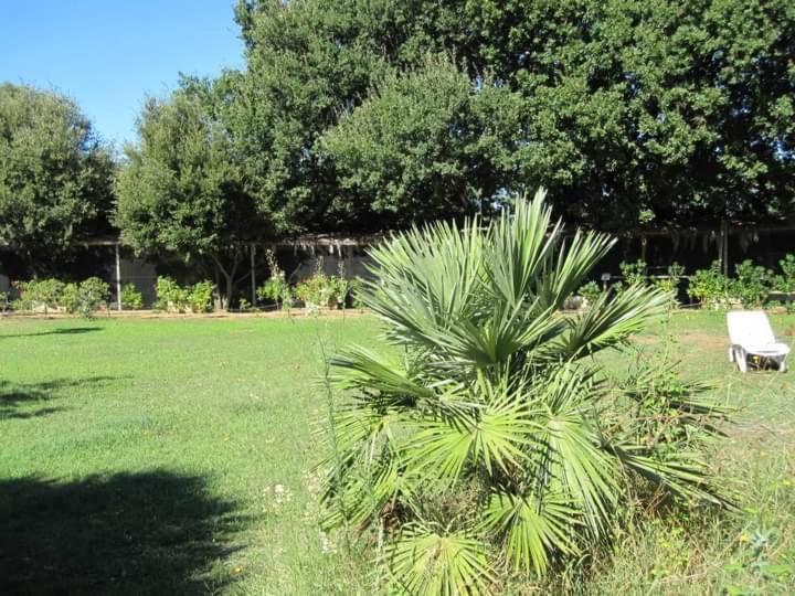 Parco Delle Streghe Villa Scarlino Esterno foto