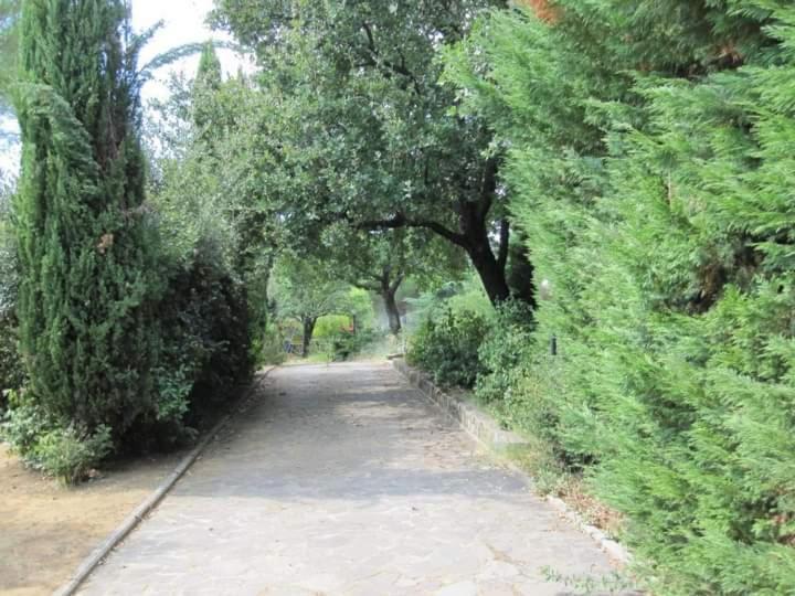 Parco Delle Streghe Villa Scarlino Esterno foto